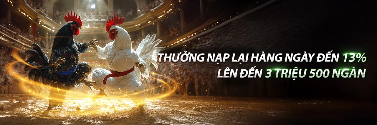 Đá Gà nani88 win - Trận đấu kịch tính