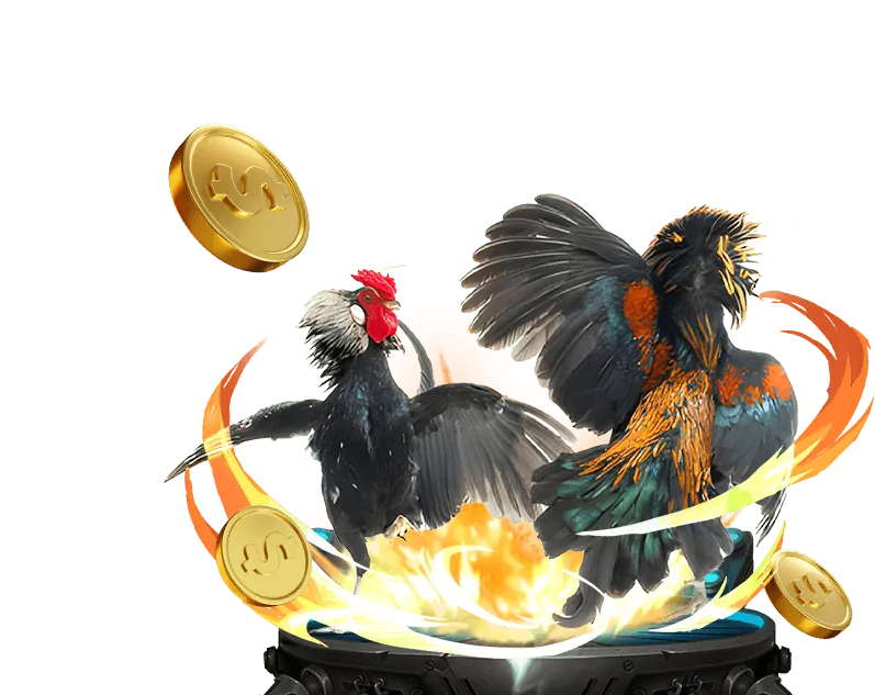 Cá cược thể thao nani88 win